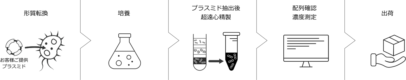 プラスミド調製サービス