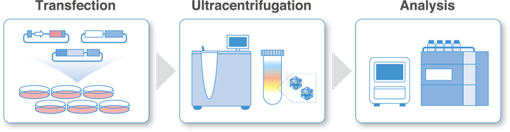 Viral Vector Production Service for Research