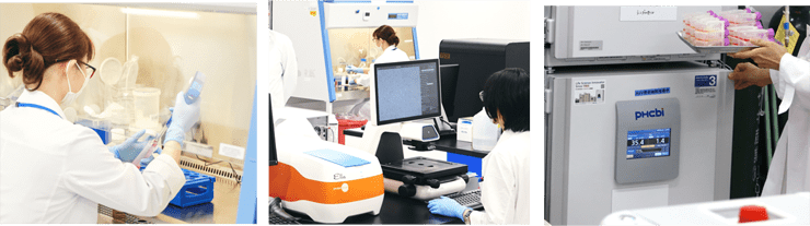 Viral Vector Production Service for Research