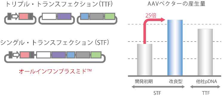 ウイルスベクターの製造コストの大幅削減：　オールインワンプラスミド™