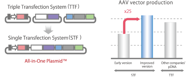 Significant Reduction in Viral Vector Production Costs: All-in-One Plasmid™