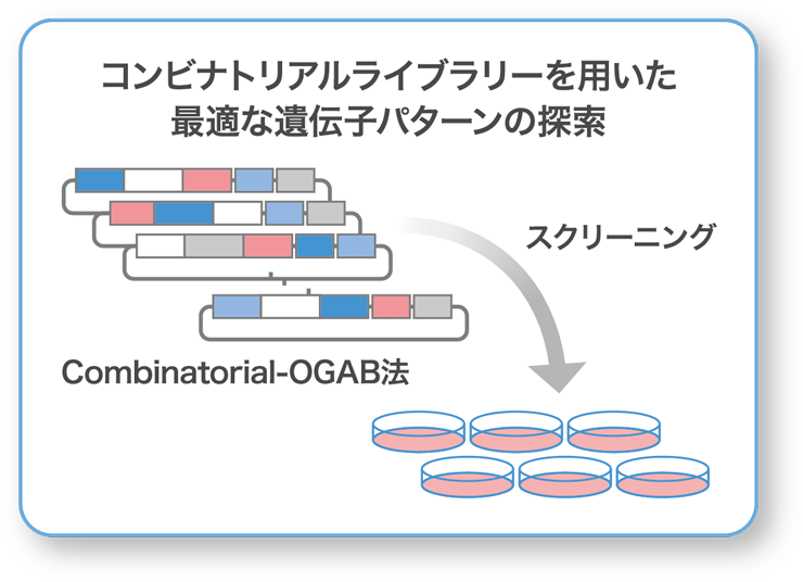 ウイルスベクターの産生量を増大する遺伝子の探索：　Combinatorial-OGAB法