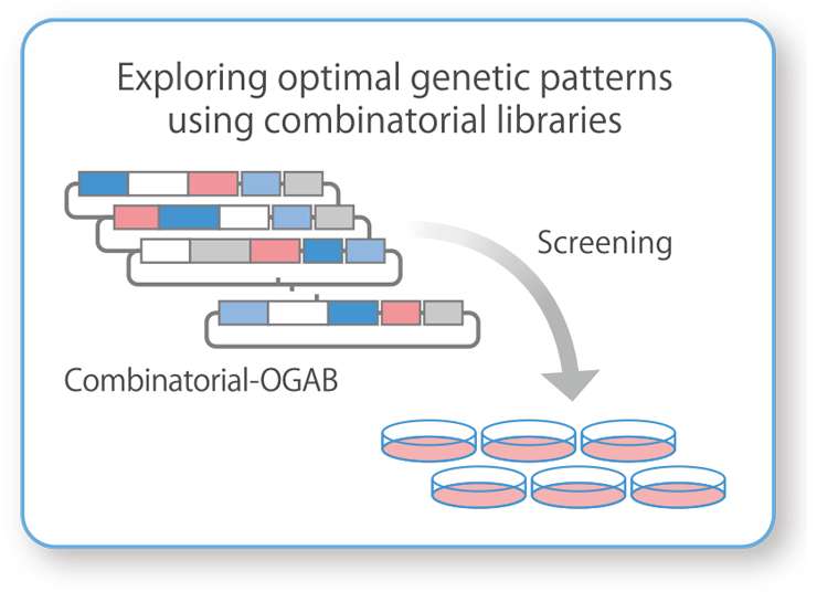 Exploration of Genes That Increase the Production of Viral Vectors: Combinatorial-OGAB