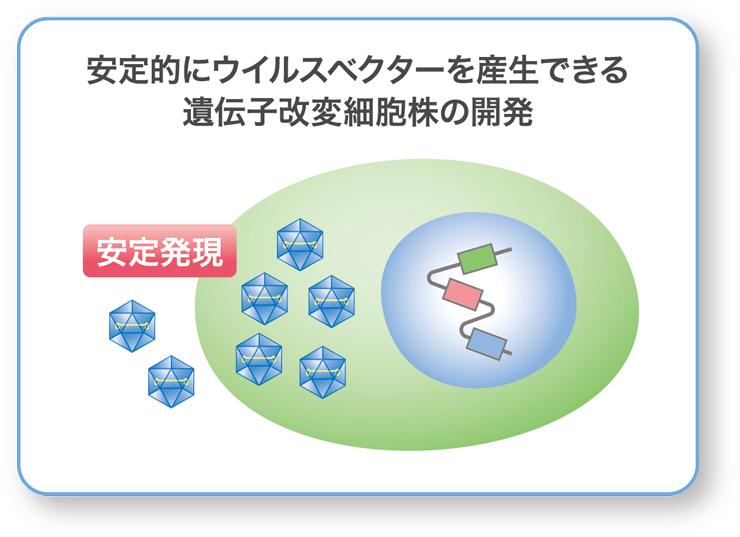 AAVベクターを安定的に産生する宿主細胞開発