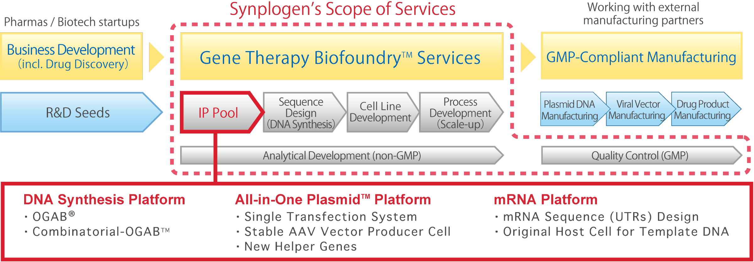 Gene Therapy Biofoundry™  Services