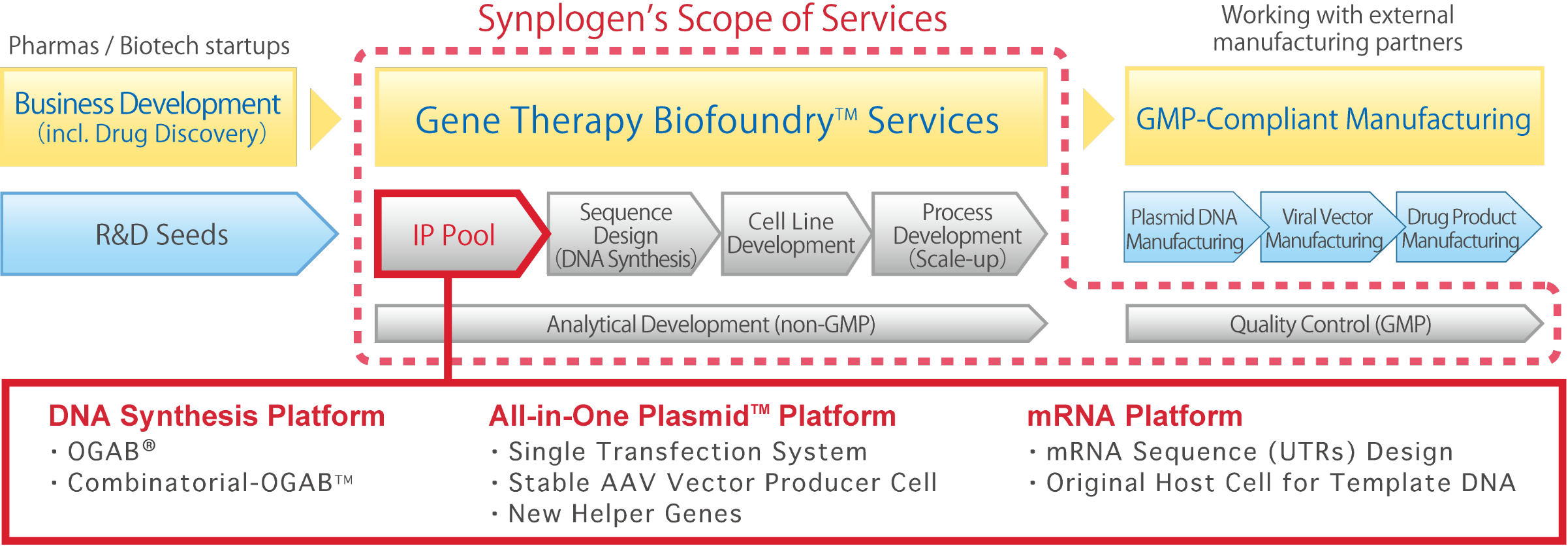 Gene Therapy Biofoundry™ Services