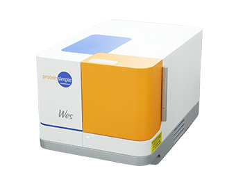 Automated western blots