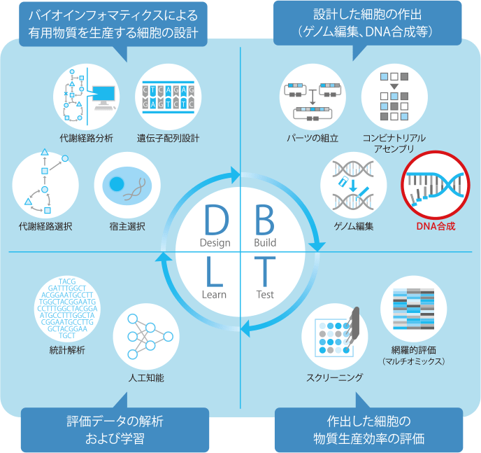 バイオファウンドリ