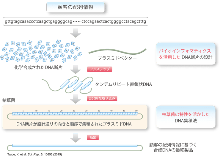 OGAB®枯草菌を利用するメリット